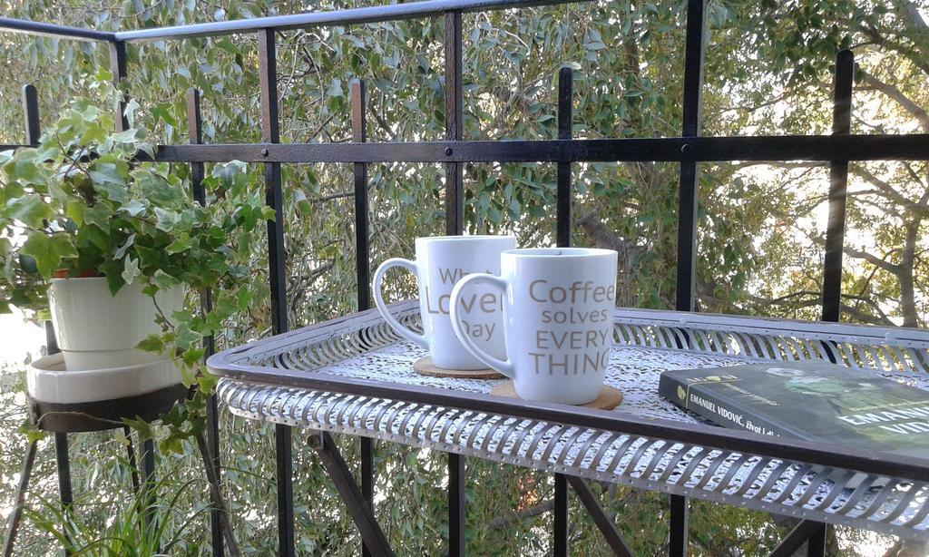 Apartment Celtis *